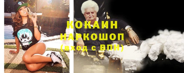 тгк Алзамай
