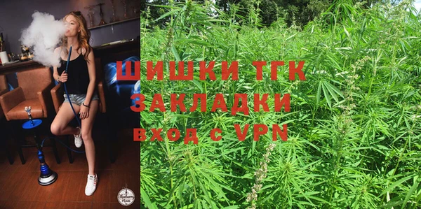 тгк Алзамай